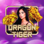 taya777 Dragon Tiger live casino